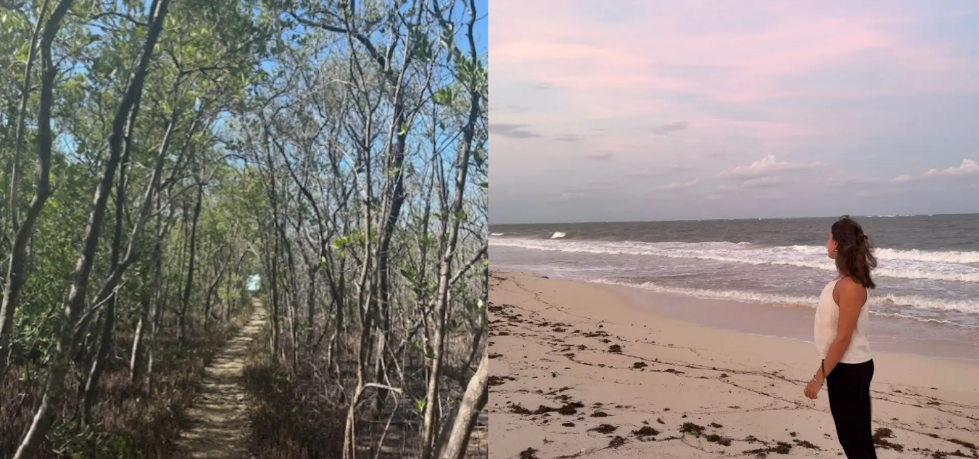 Avila Reizen Mexico Sian Kaan NP blog Rosalie