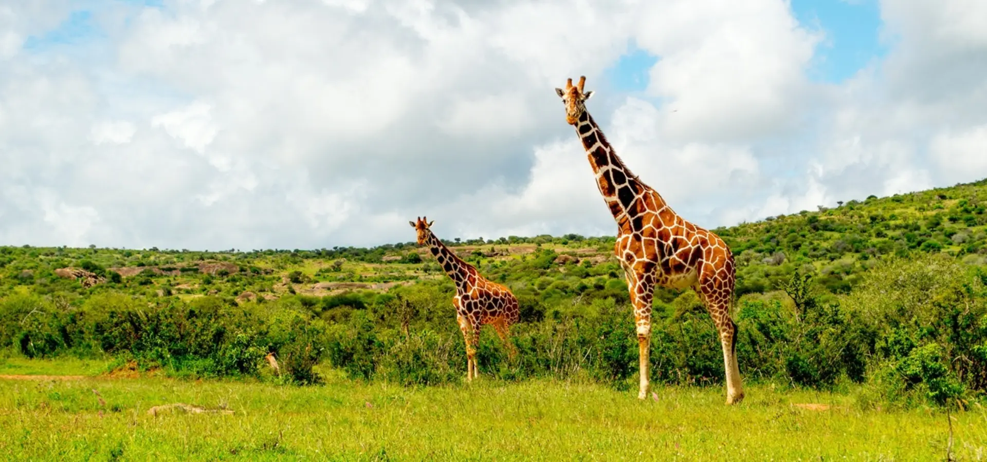 Avila Reizen Mpala Research Centre 7
