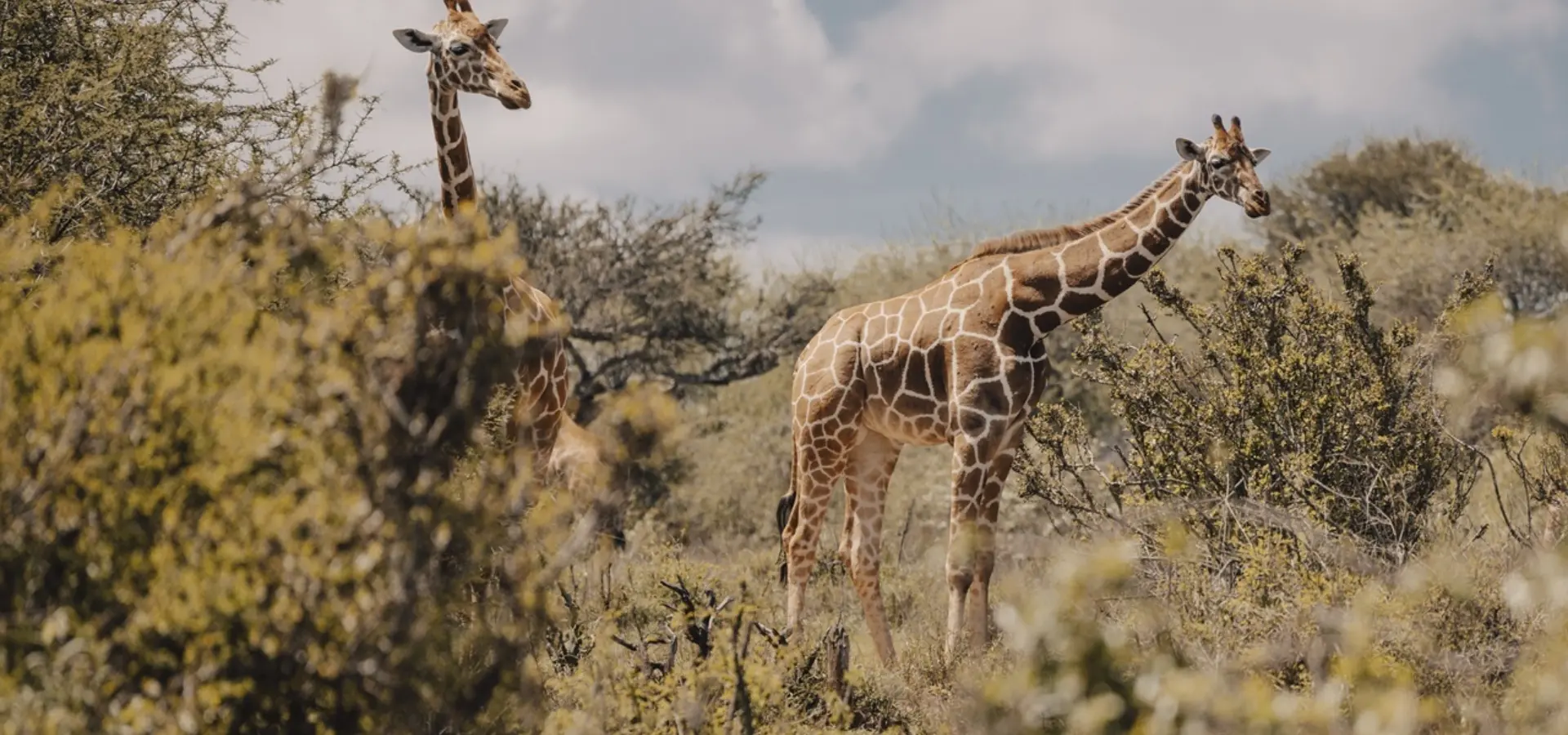 Avila Reizen Kenia Ol Gaboli 3