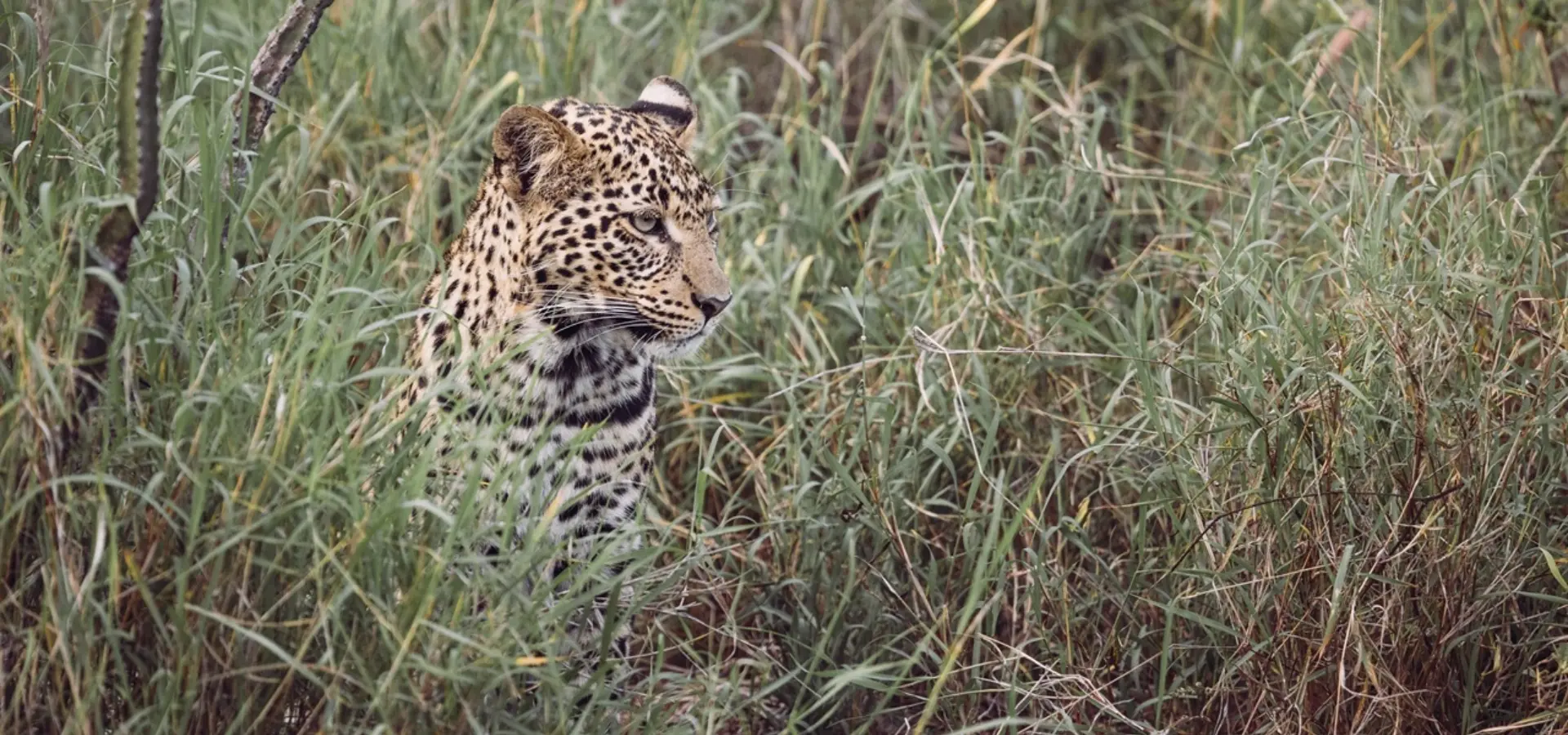 Avila Reizen Kenia Ol Gaboli 6