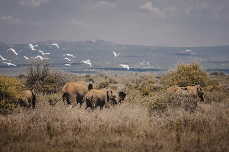 Avila Reizen Kenia Ol Gaboli 5