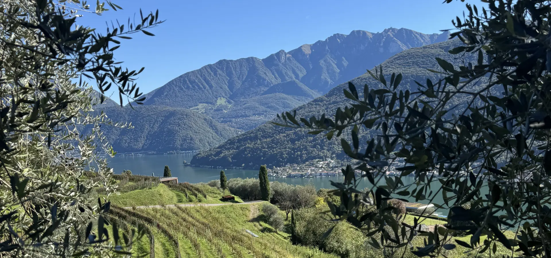 Avila Reizen Zwitserland Ticino Tenuta Castello di Morcote blog Sophie dag 5