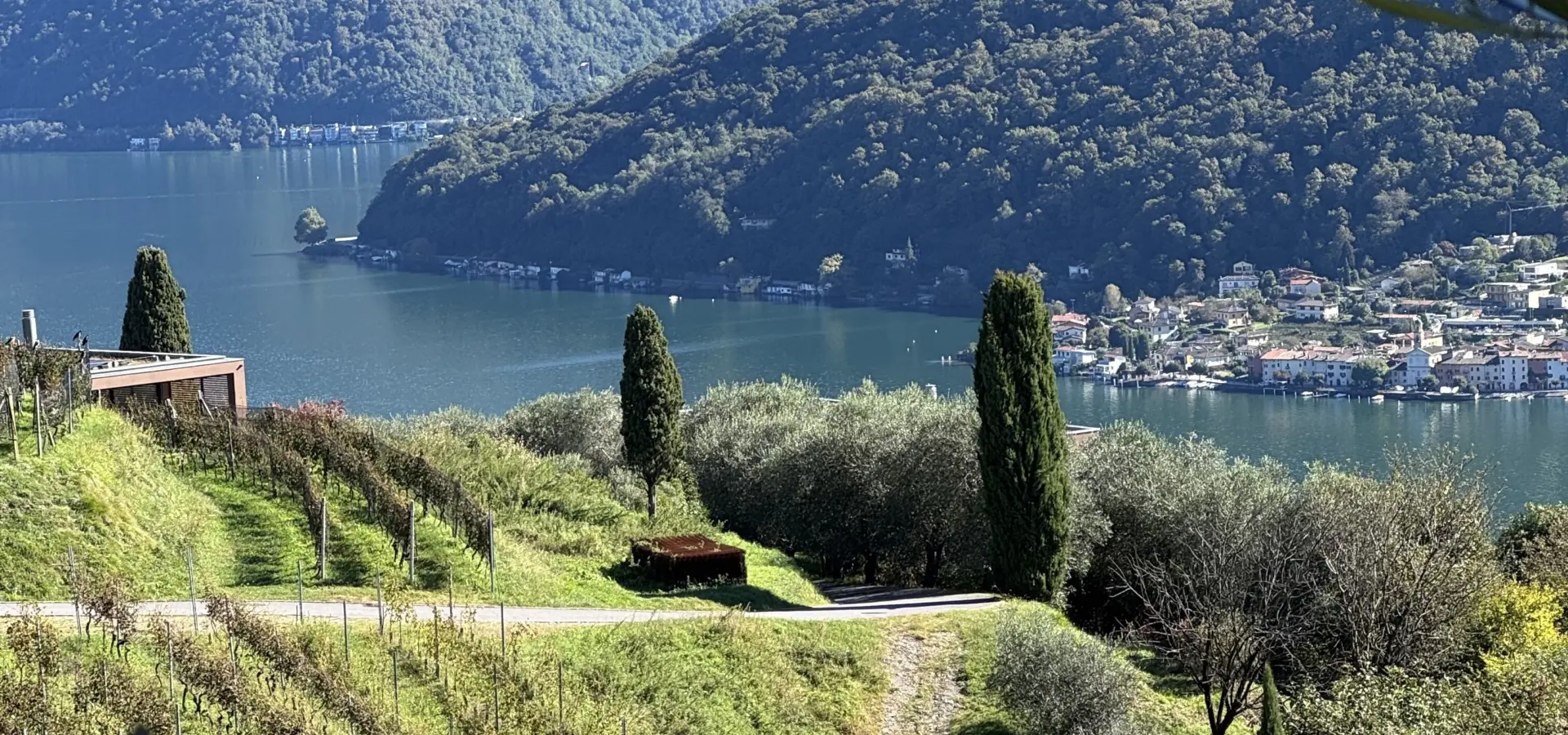 Avila Reizen Zwitserland Ticino Tenuta Castello di Morcote wijnvelden blog Sophie dag 5