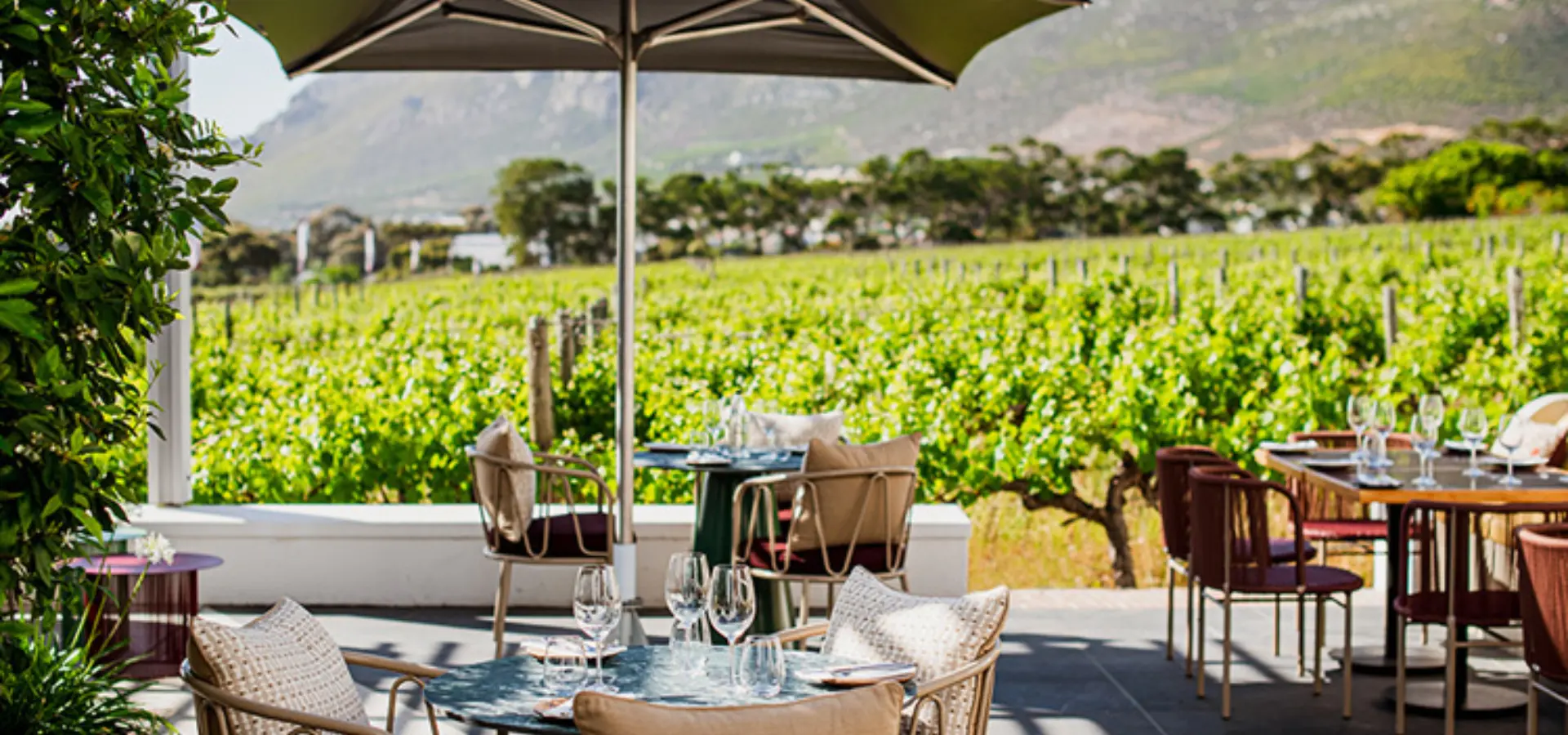 Steenberg Wine Farm
