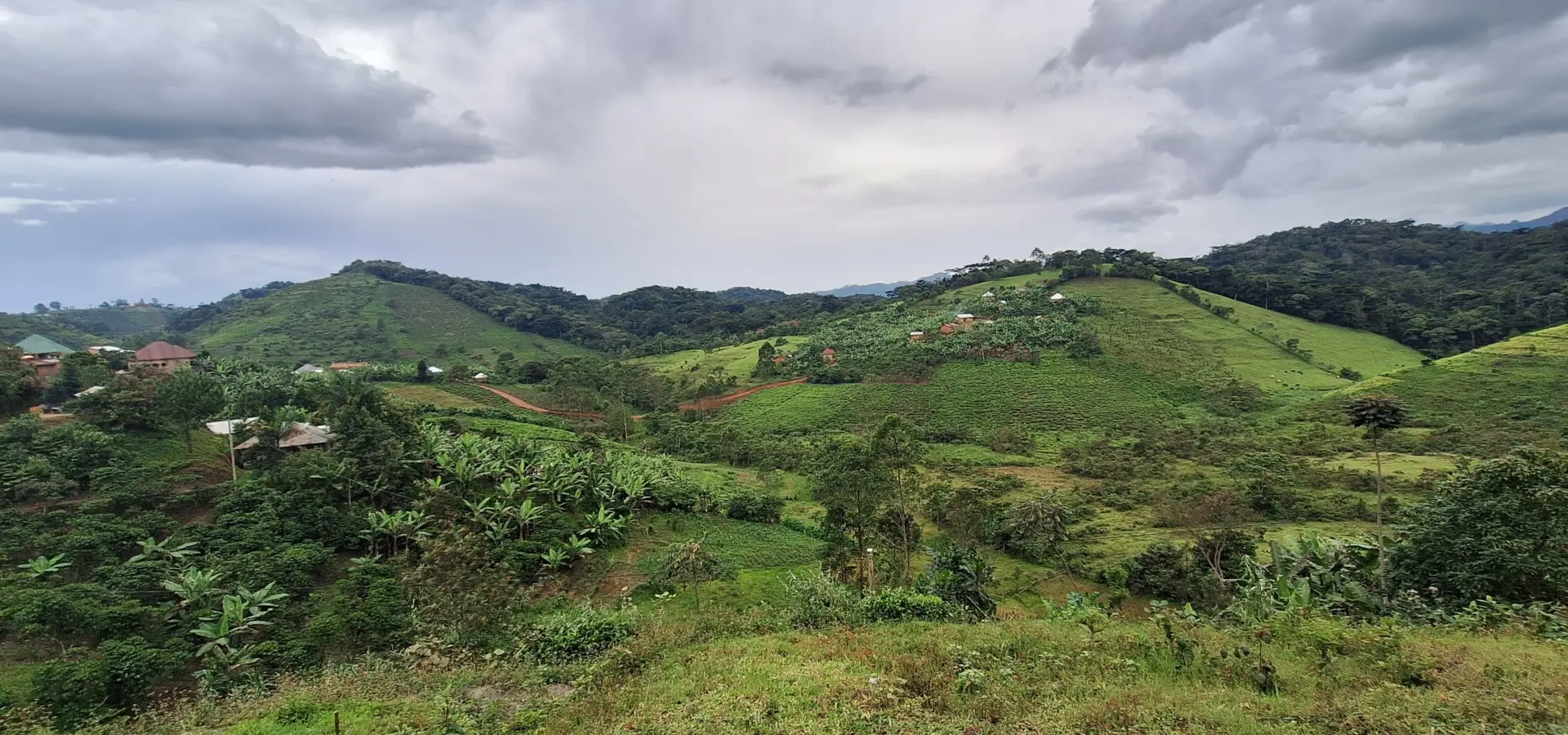 Avila Reizen Oeganda Ishasha Bwindi