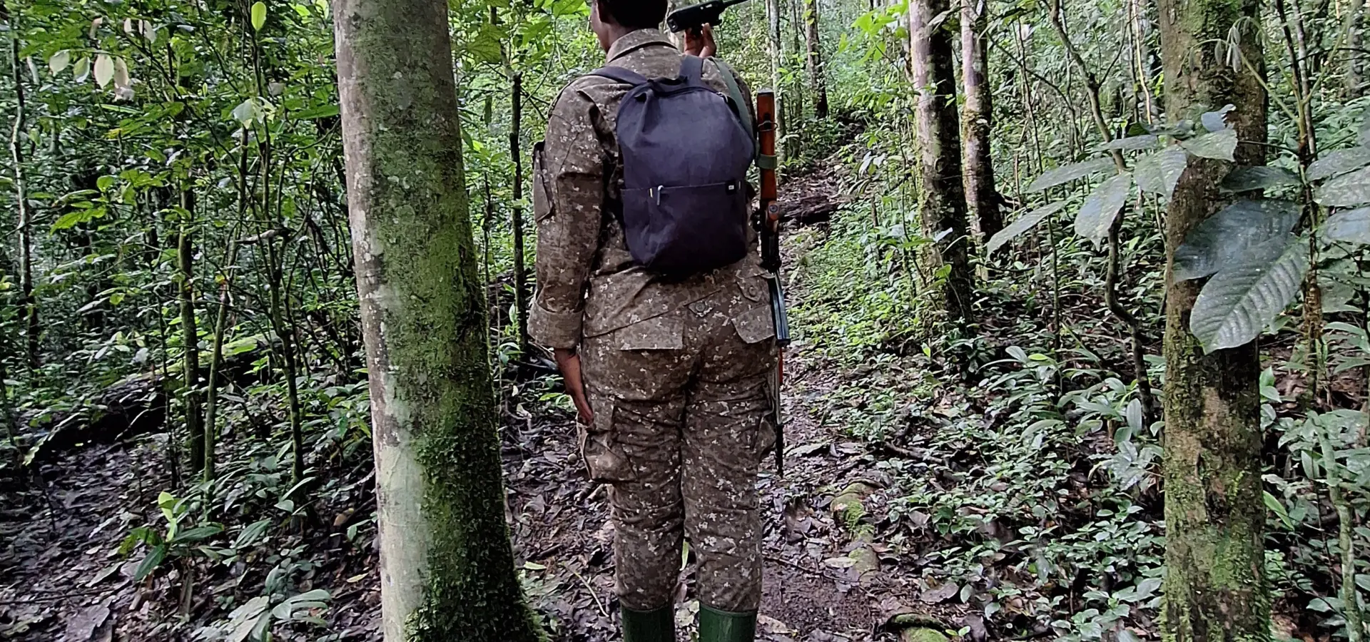 Avila Reizen Oeganda Kibale chimpansee trekking