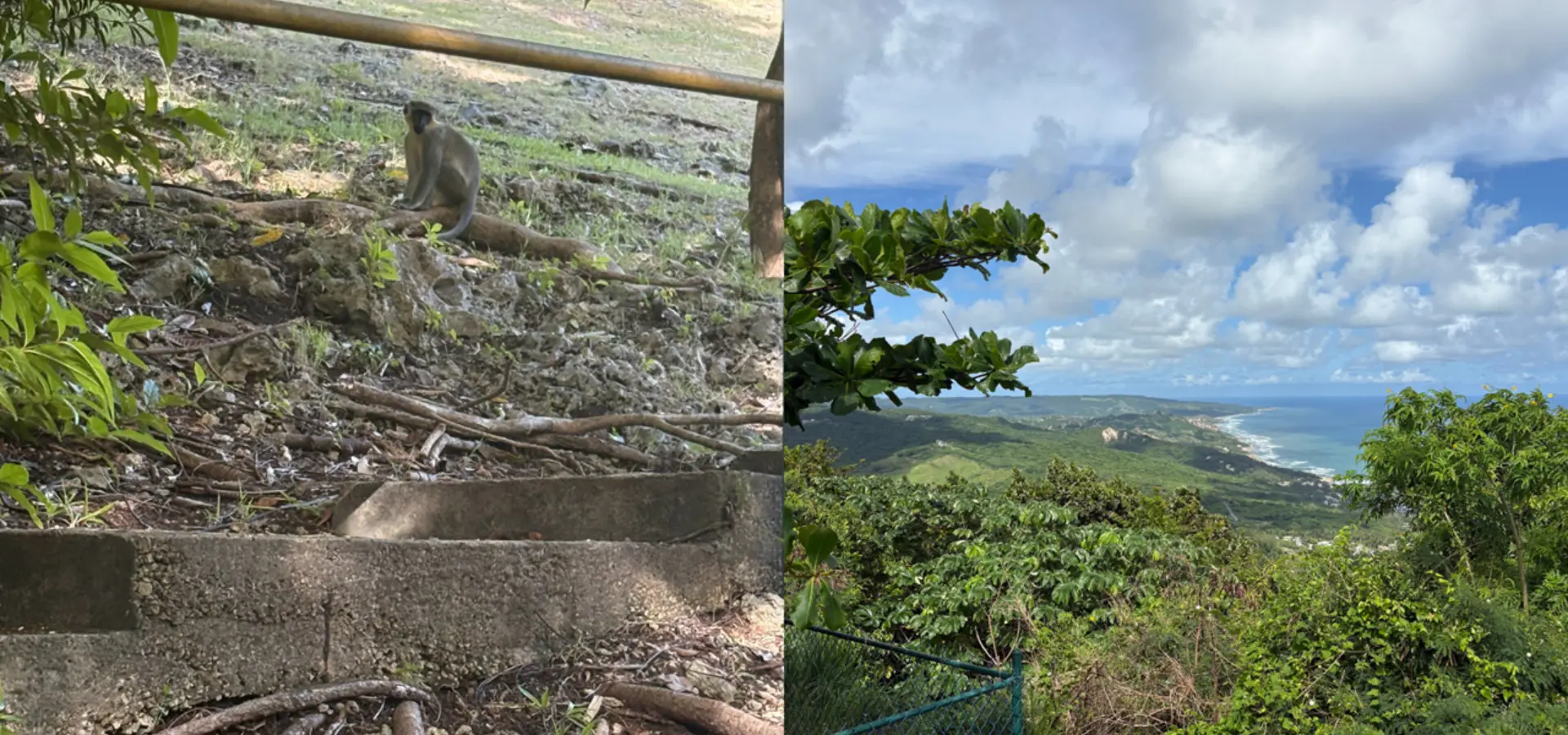 Avila Reizen Barbados aankomst 2 blog Isabel