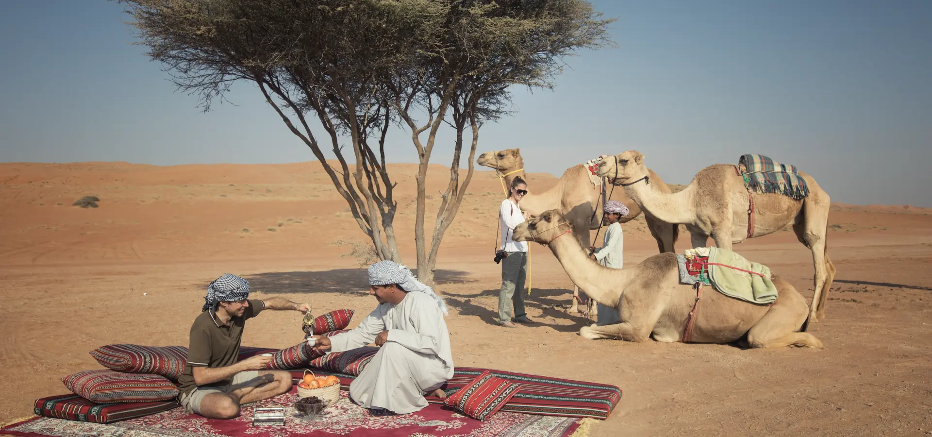Avila Reizen Oman picknick in woestijn