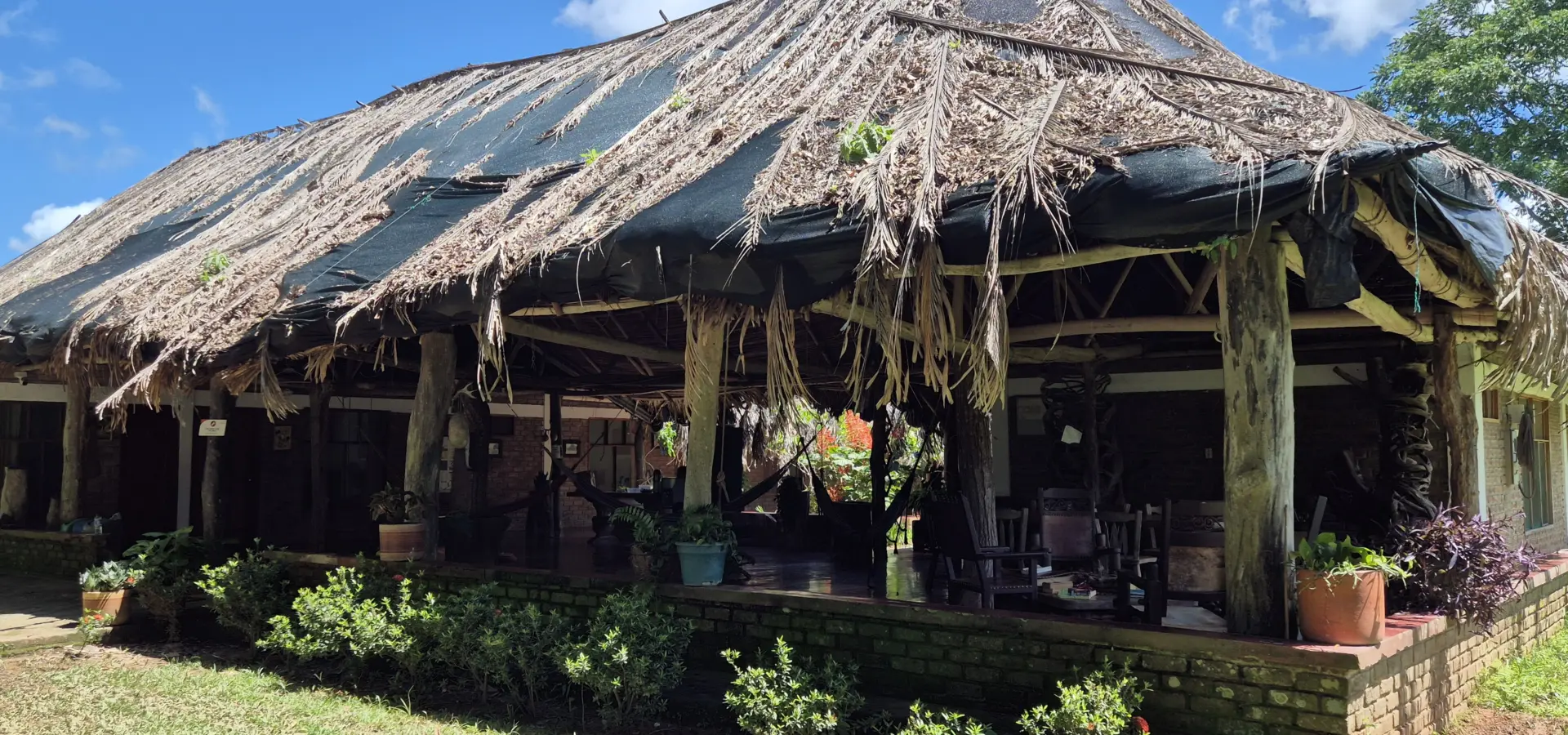 Avila Reizen Colombia Blog Ilse Casanare