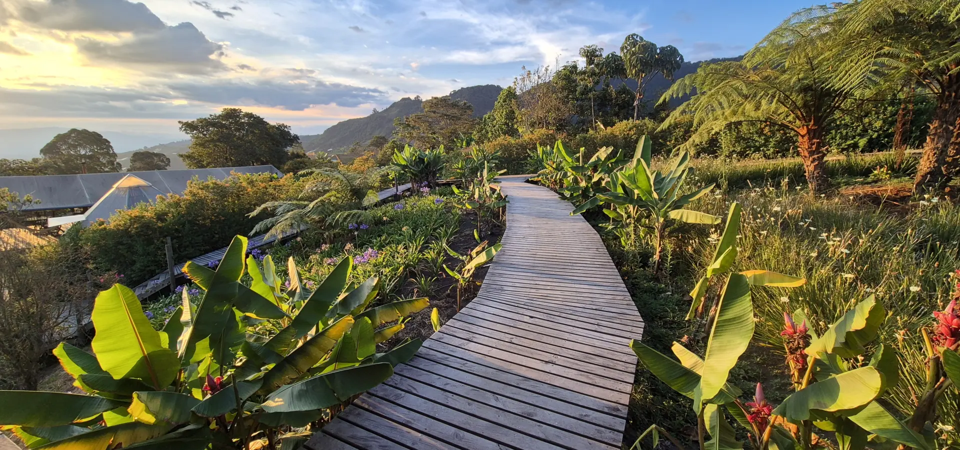 Avila Reizen Colombia Blog Ilse El Nido del Condor Lodge wandelpad