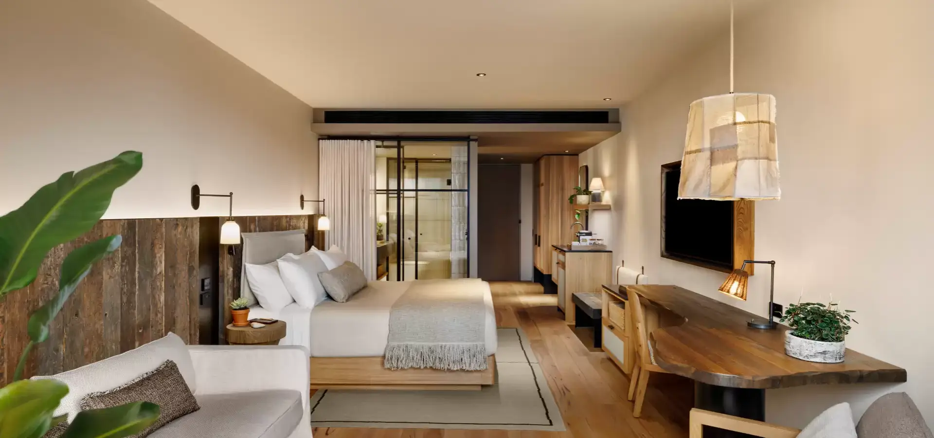 1741621448189 523 King River into room planth1281