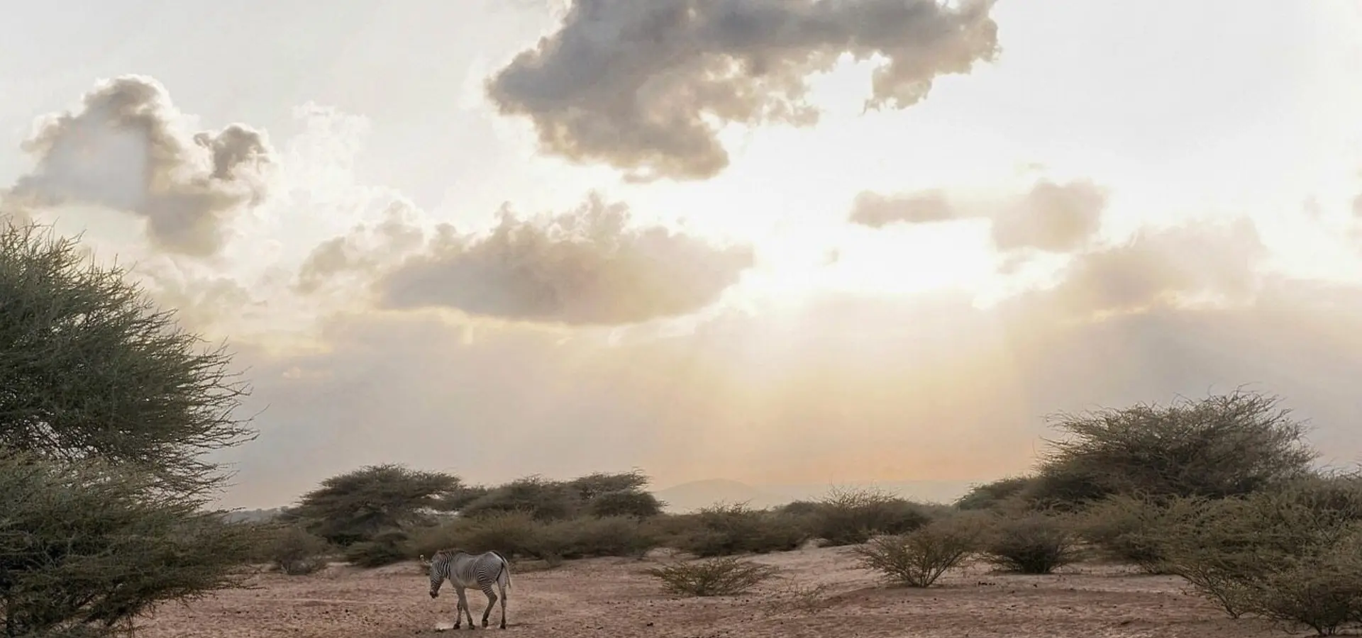 1742586143639 djibouti 102564 1280