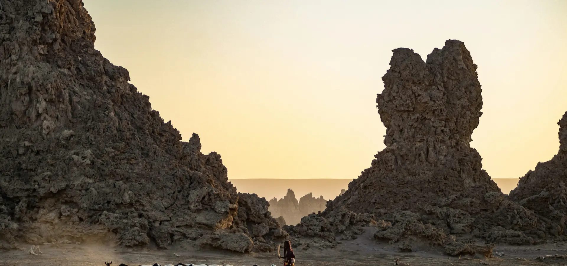 1742586143642 lesly derksen vmf Kwrqk Ok A unsplash