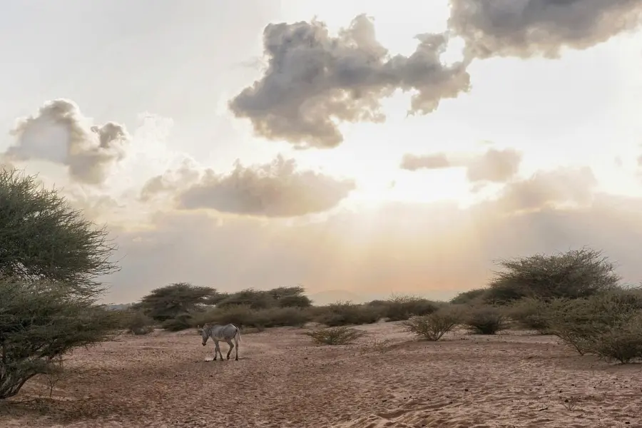 1742586143639 djibouti 102564 1280