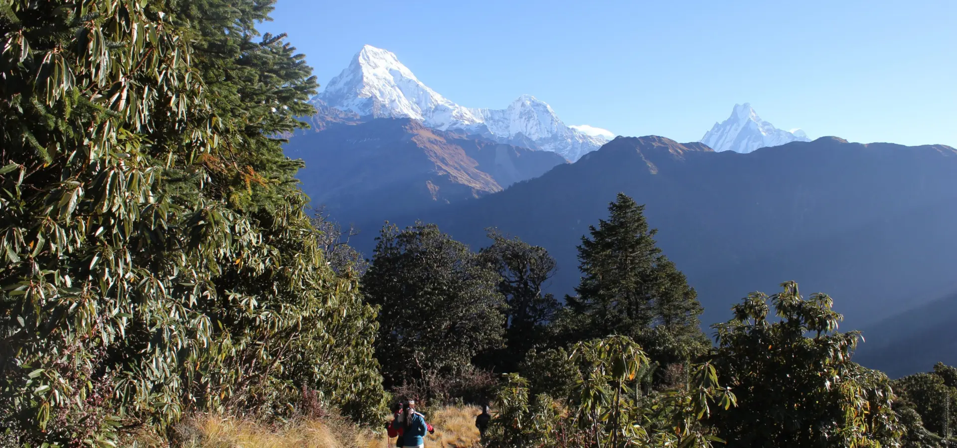 Poon hill trek 9