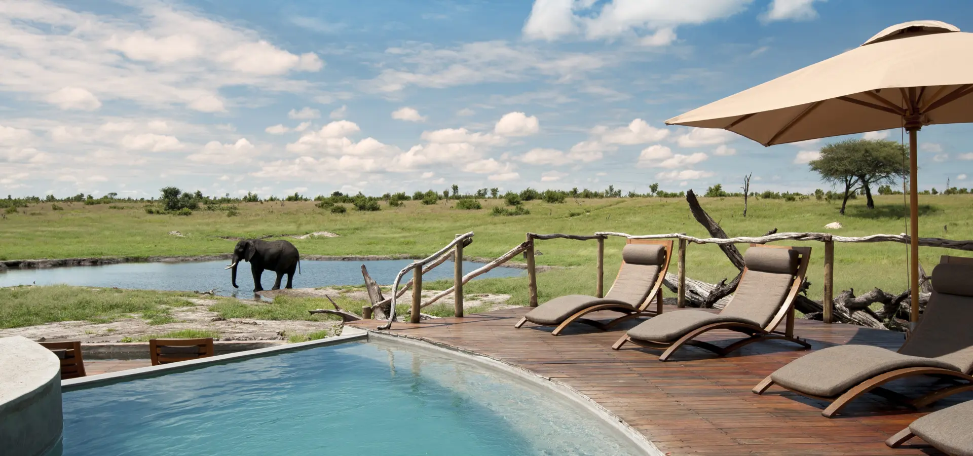 Somalisa camp hwange national park zimbabwe luxury safari lodge african bush camps pool area 5
