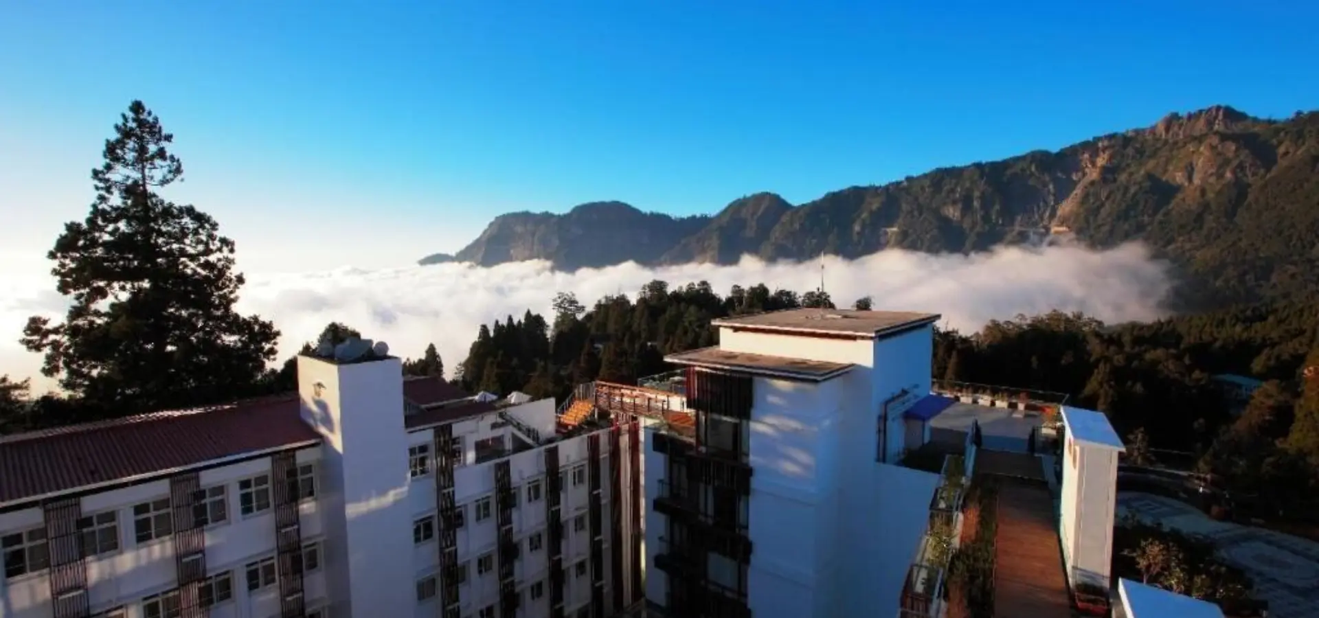 Alishan view