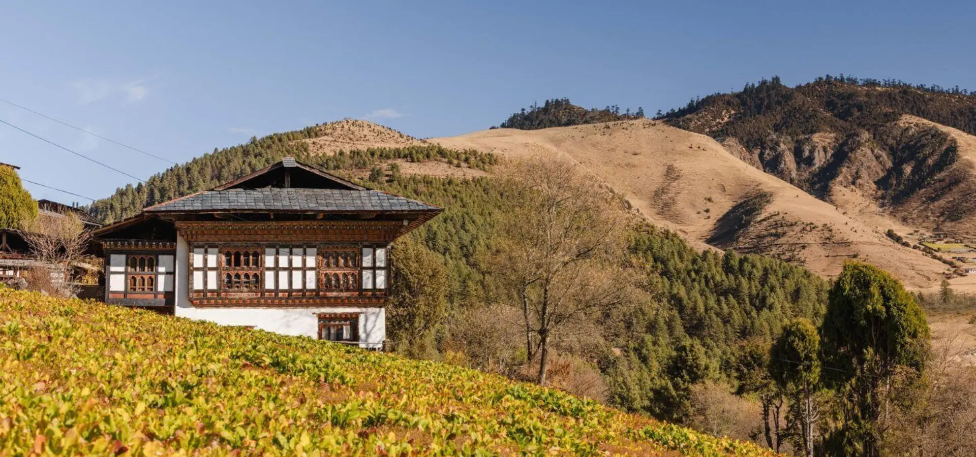 1734957644738 amankora bhutan gangtey goempa village