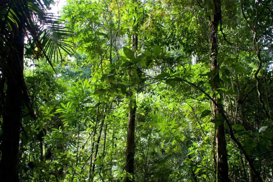 1768999969370madeline hogan utot9tpf k8 unsplash