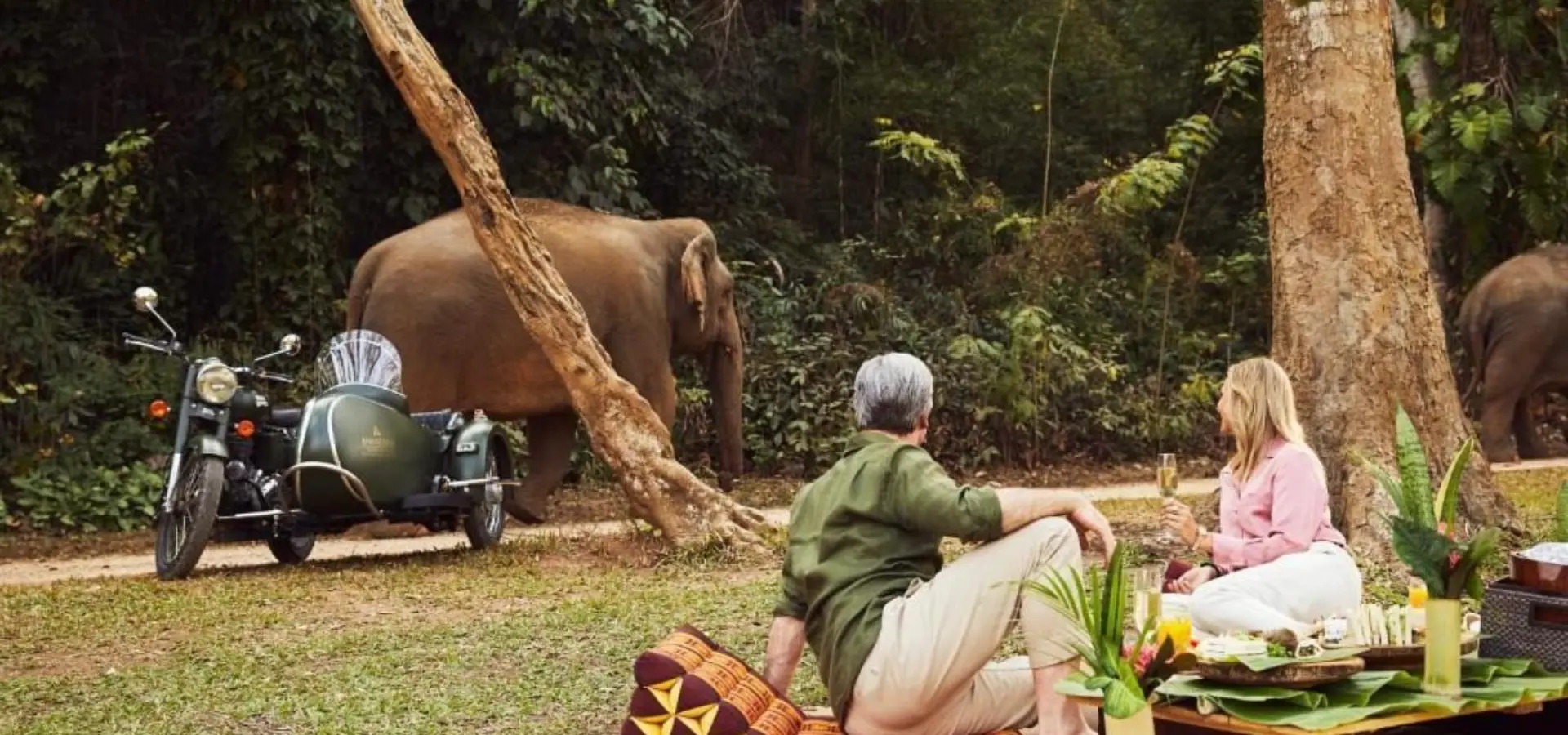 Anantara golden triangle elephant camp resort experience