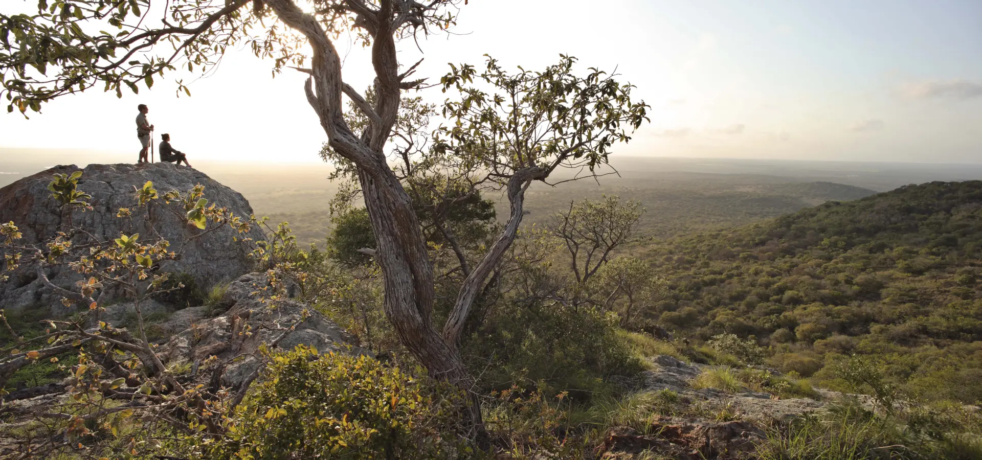 Phinda Rock 2013 19 1