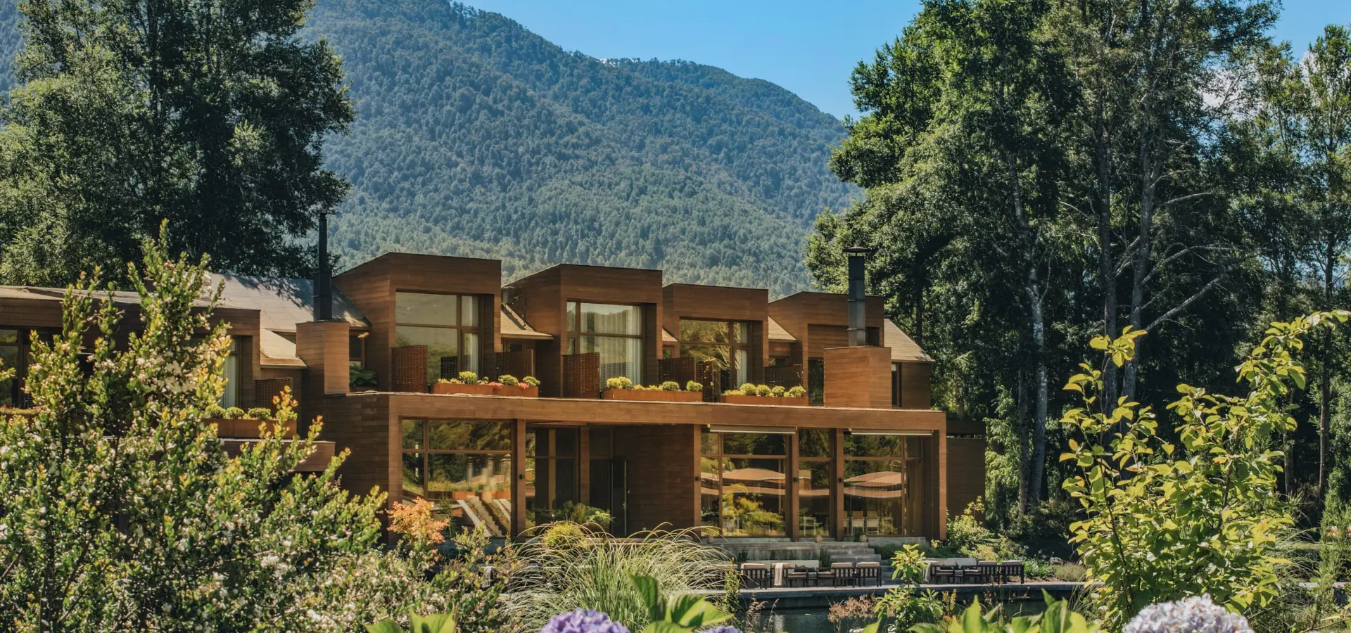 09 hotel in hydrangeafield 1