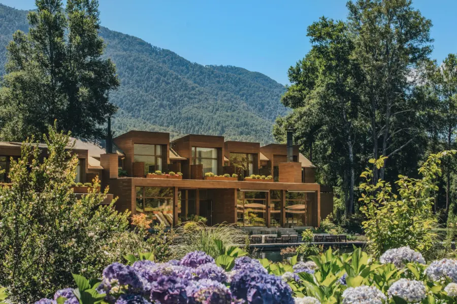 09 hotel in hydrangeafield 1
