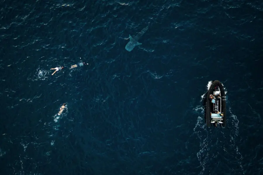 1774348133401py20pifw