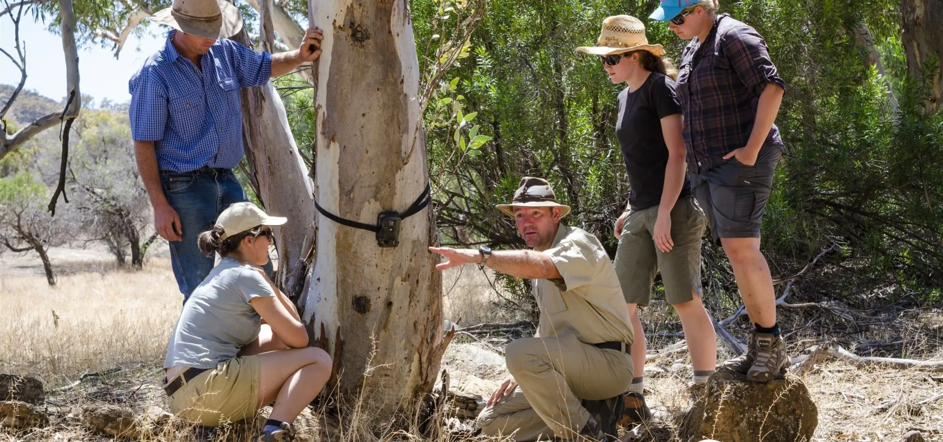 Setting camera trap to monitor species at arkaba wild bush luxury1