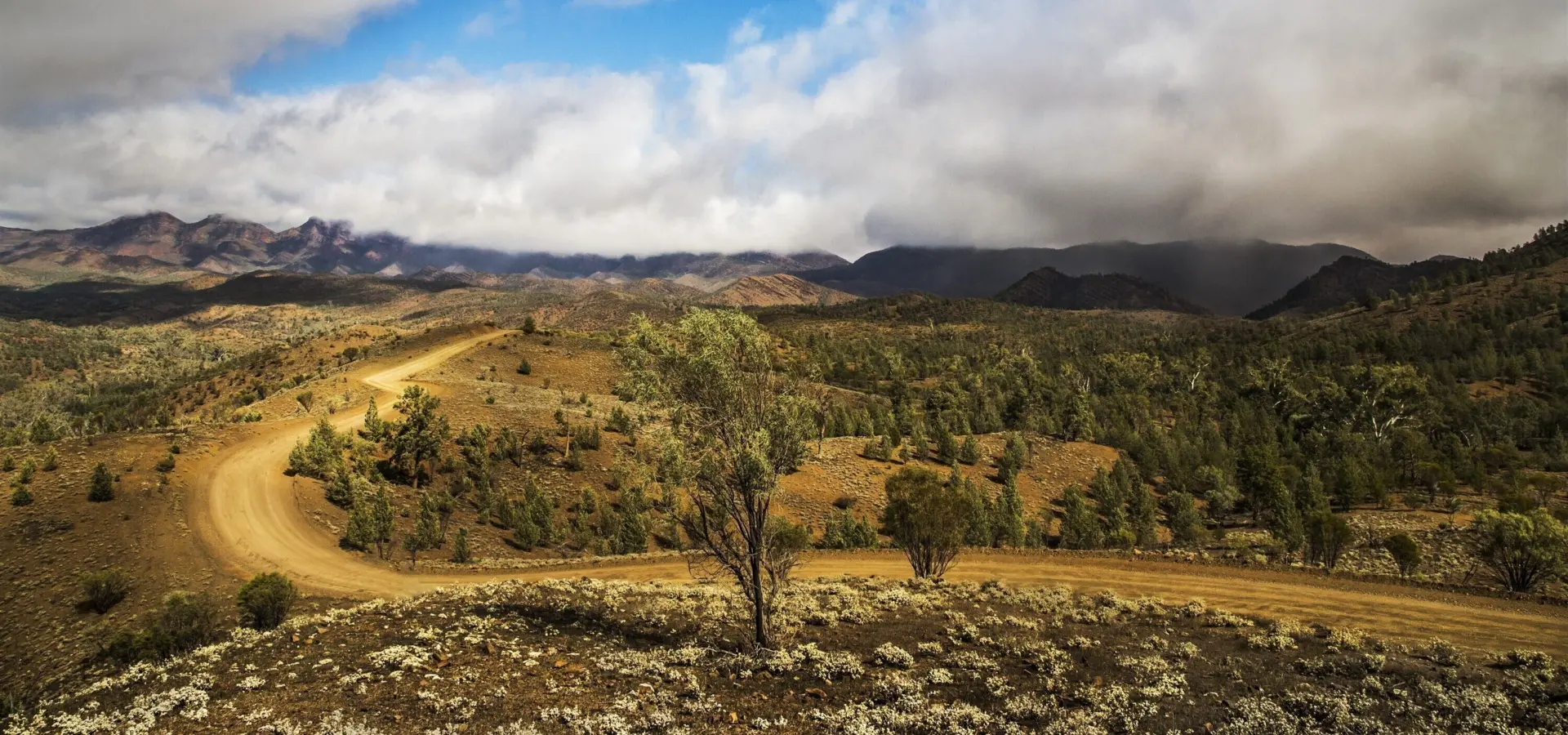 Overlooking arkaba paul bester11