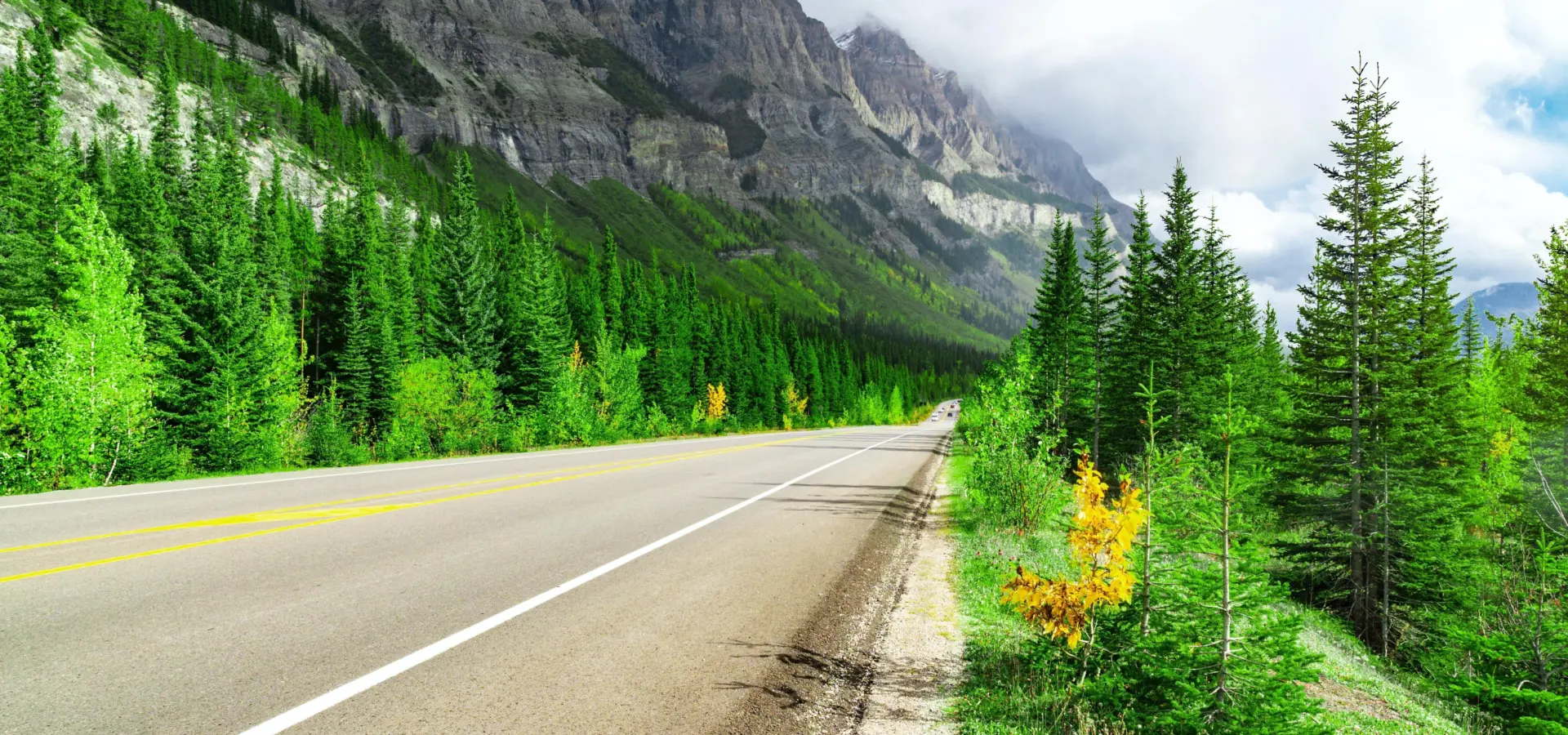 Joshua woroniecki tpelb6wc8we unsplash