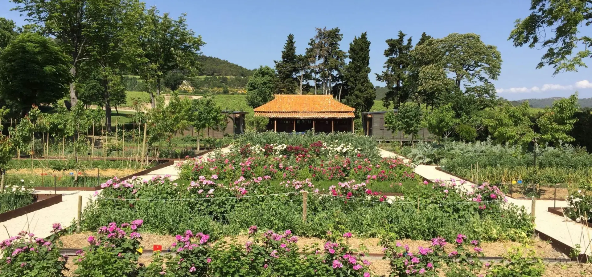 Clc printemps potager 2