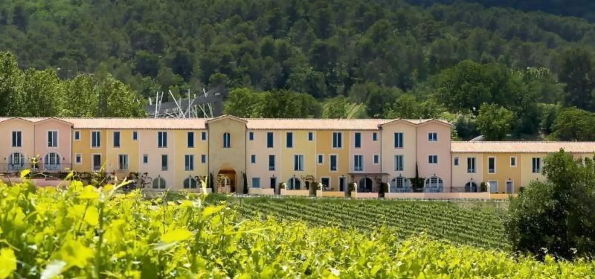 Auberge vignes1