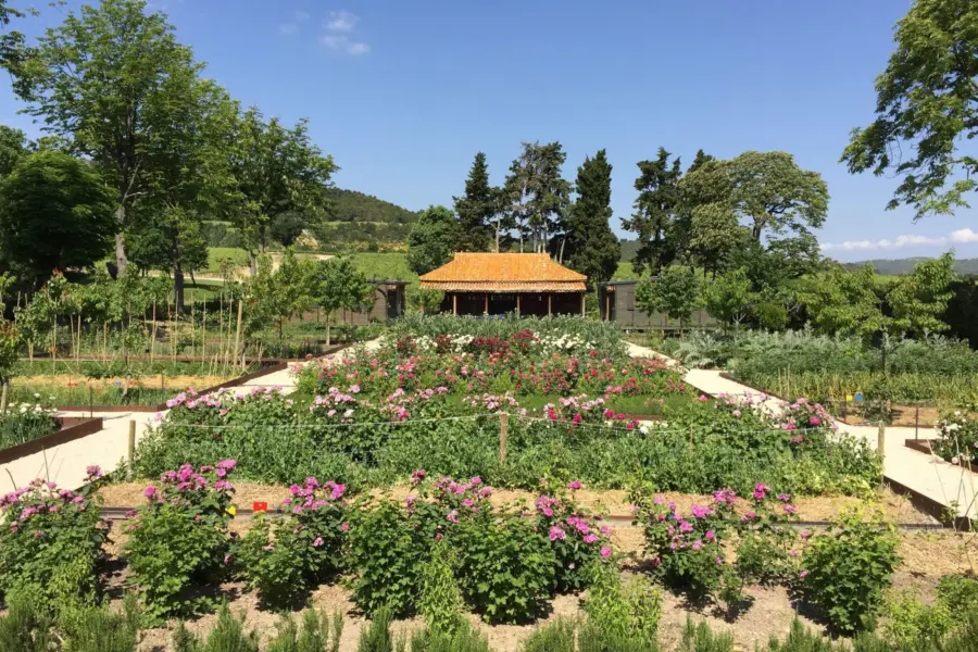 Clc printemps potager 2