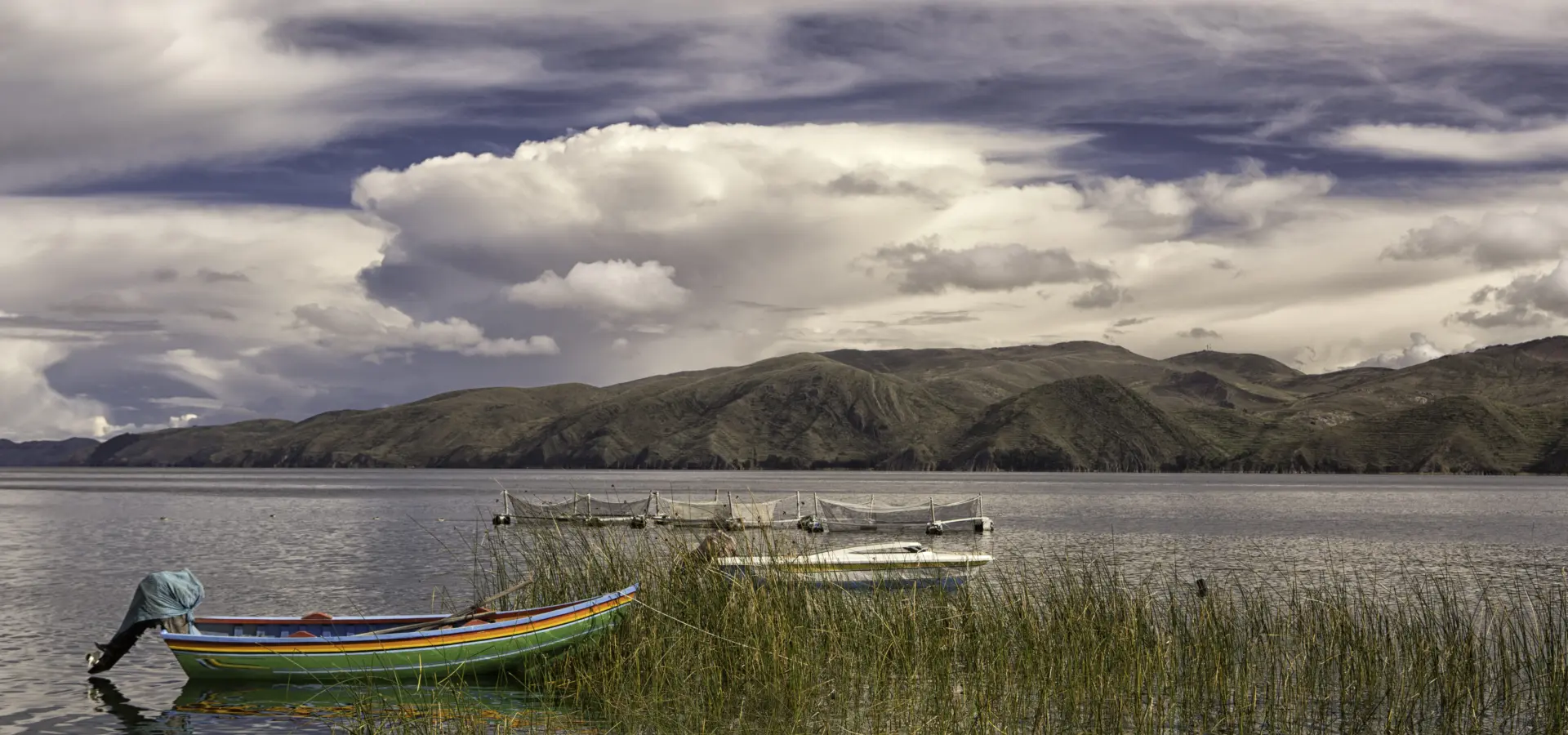 Shutterstock 467386805