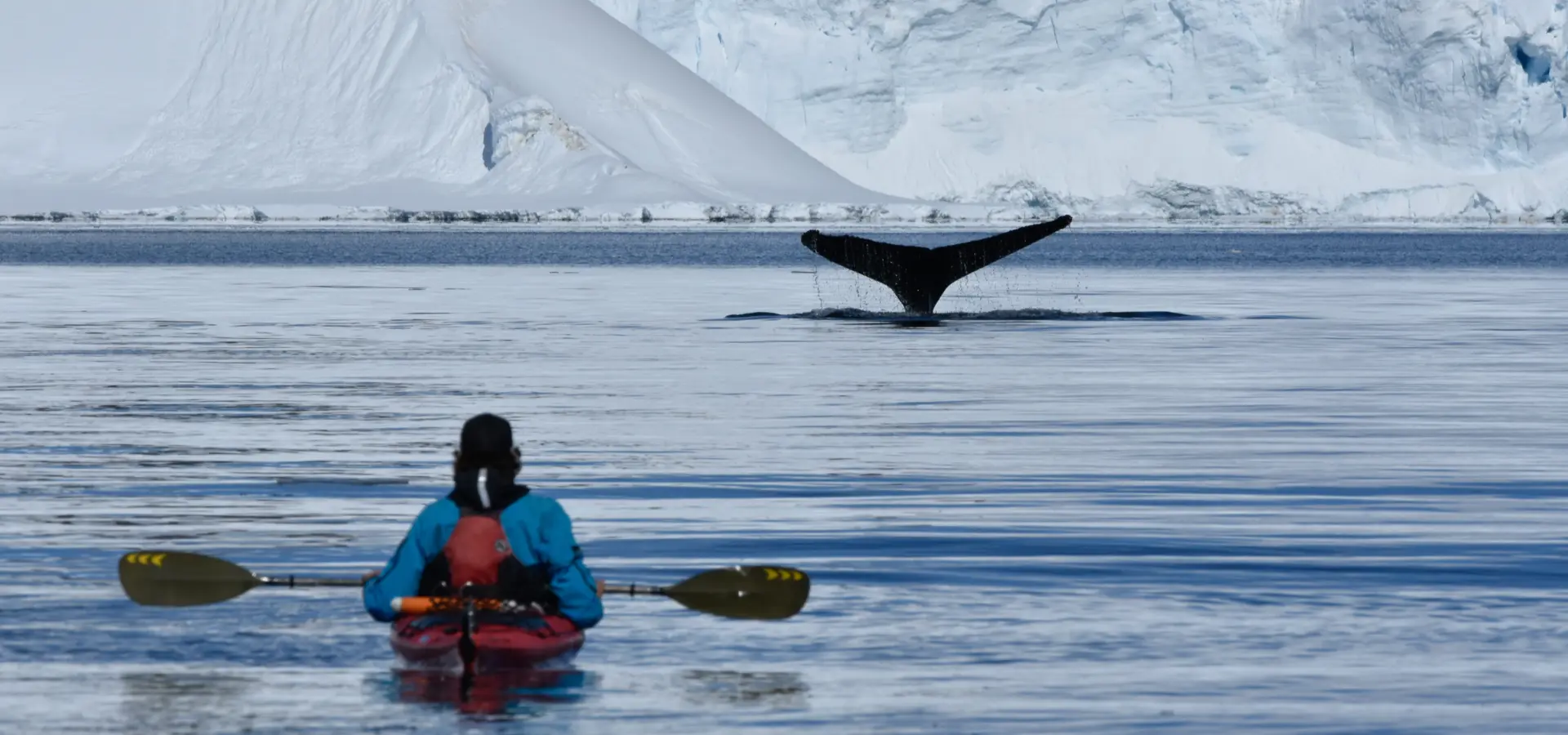 Kajakken bij antarctica foto bij philip stone