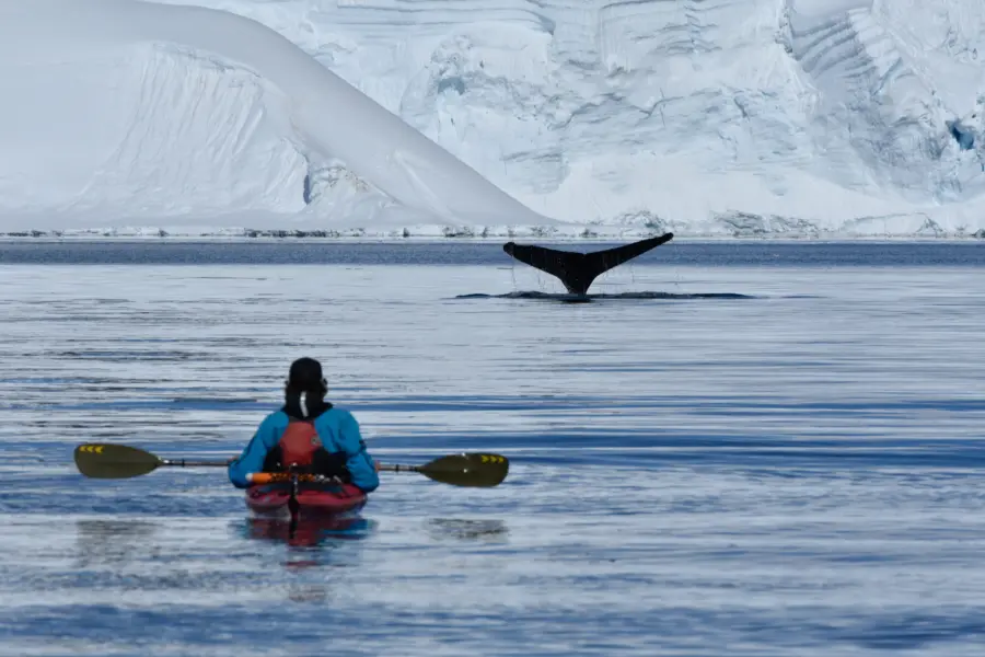 Kajakken bij antarctica foto bij philip stone