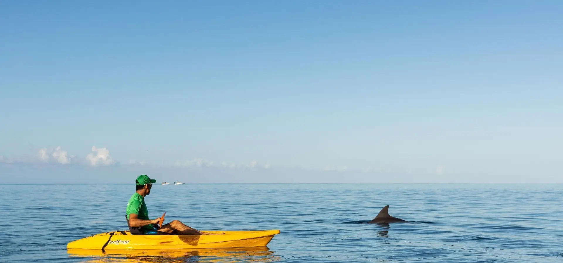 Kayaking with dolphins 3
