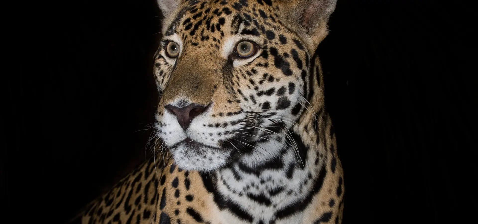 Shutterstock 322368809