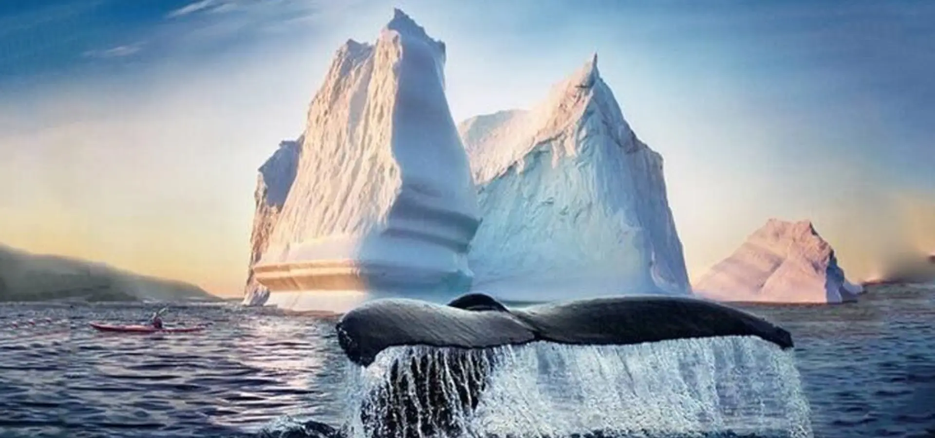 Iq icebergs 2