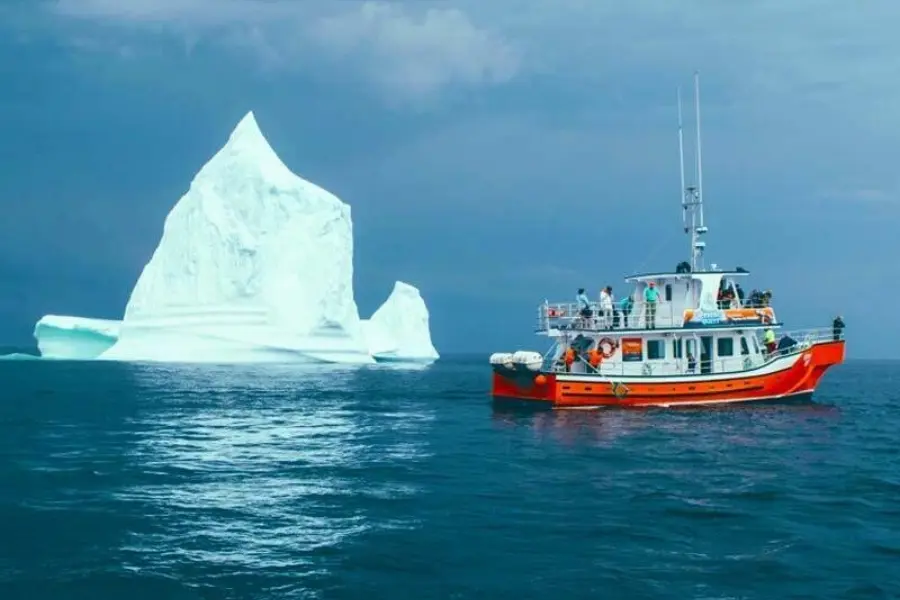 Experience bergs