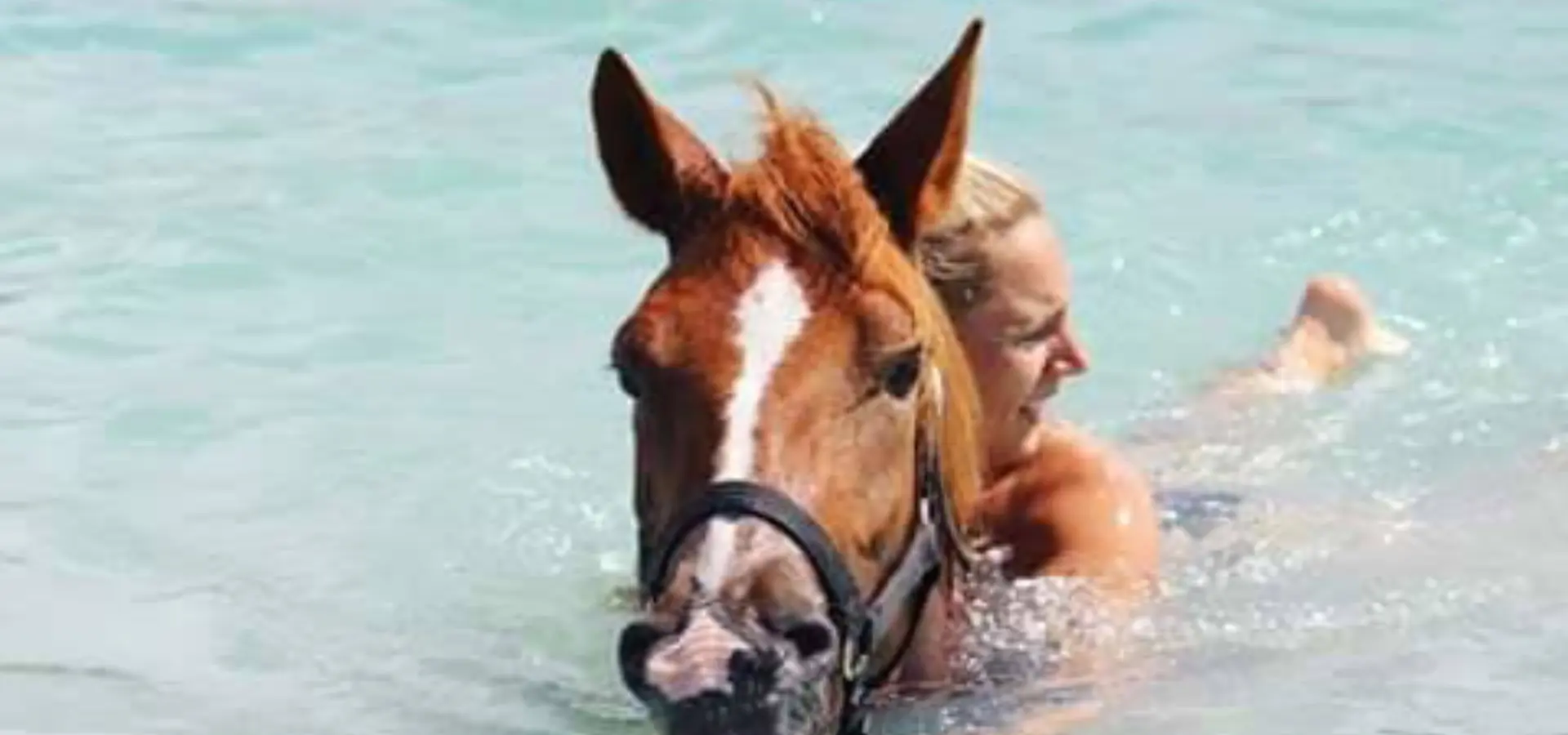 Horse ranch bonaire