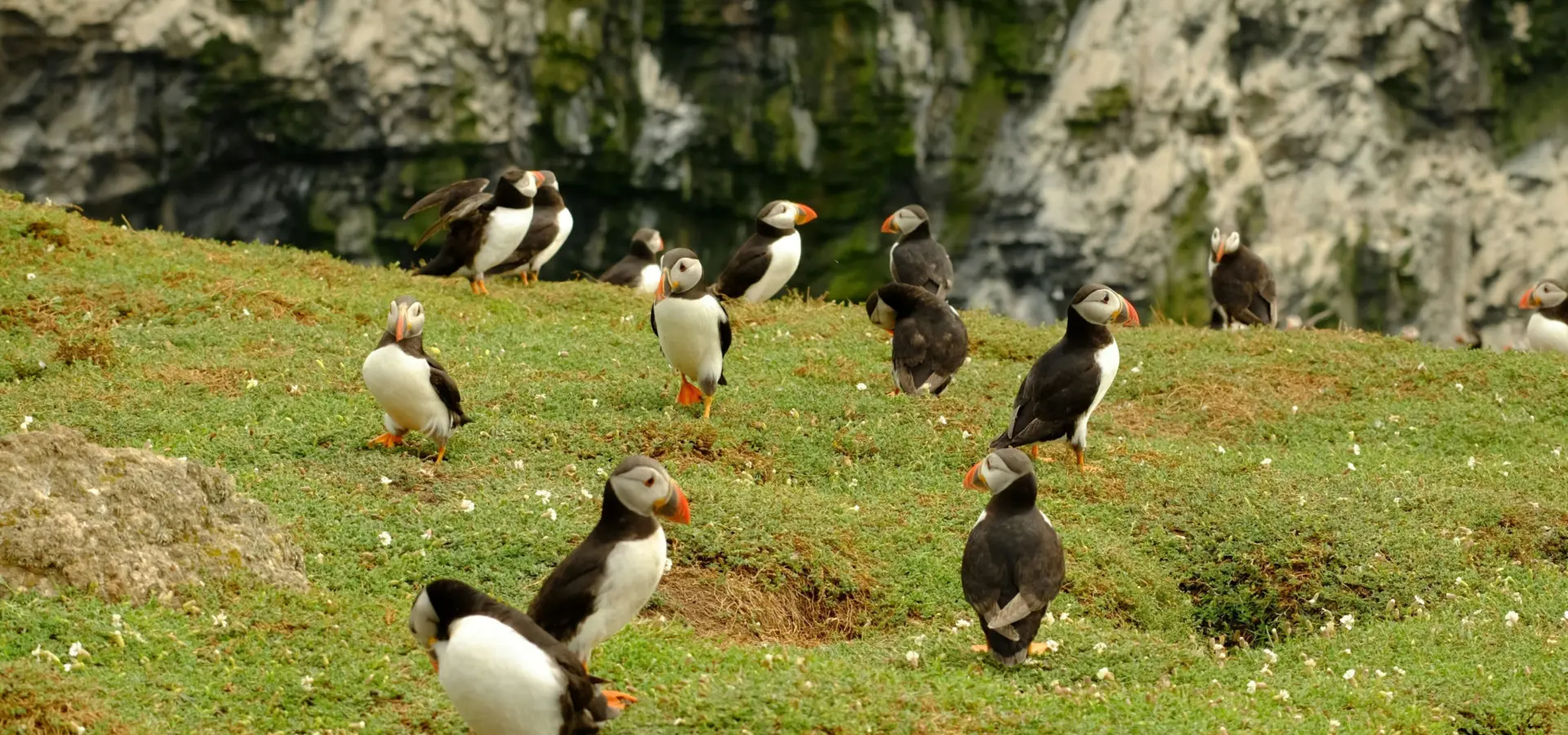 1772203436128steve west 1zmzfd6zv0 unsplash