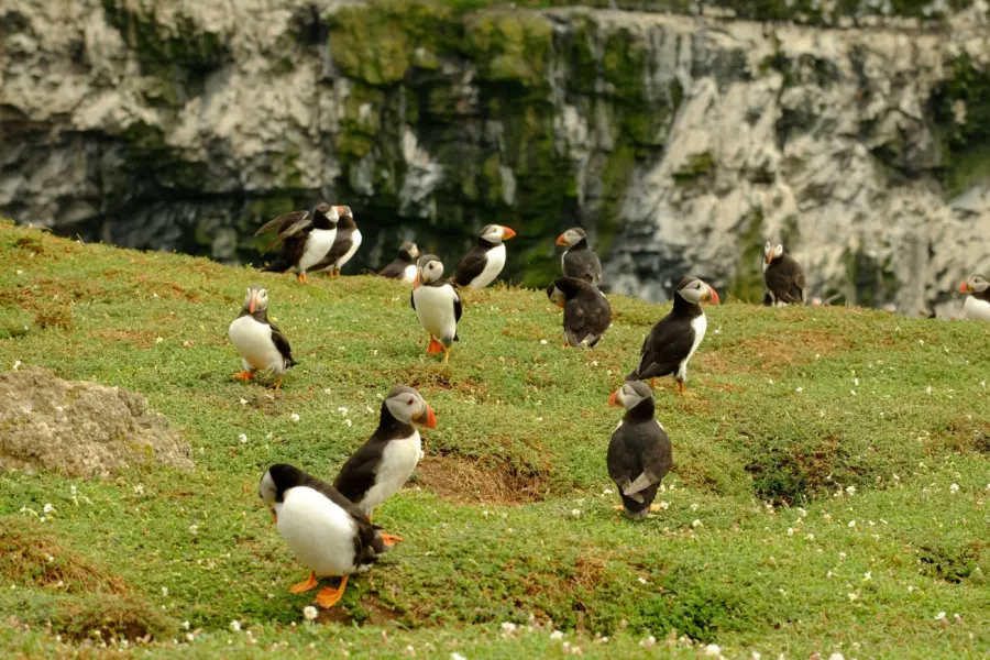 1772203436128steve west 1zmzfd6zv0 unsplash