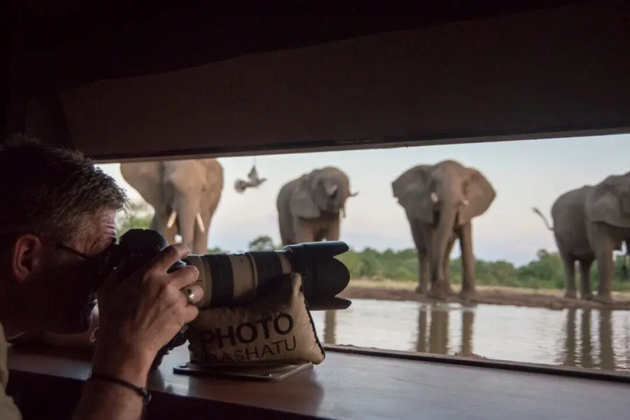 Matebole hide 1