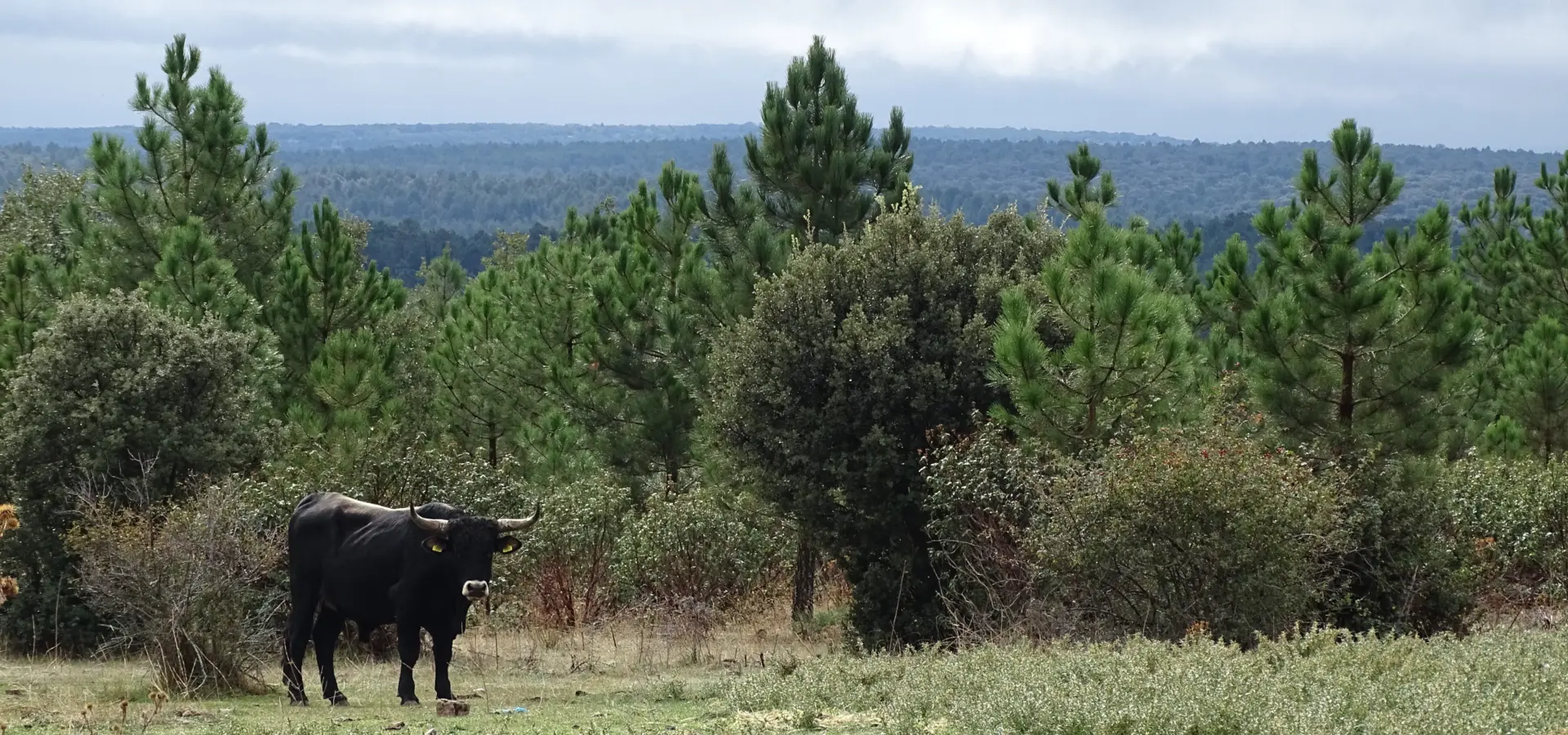 1744804891439 DSC05656