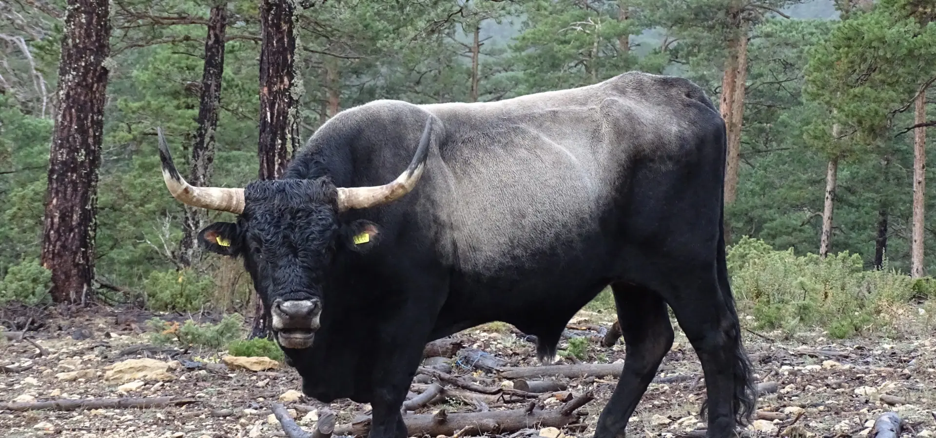 1744807394423 DSC05856