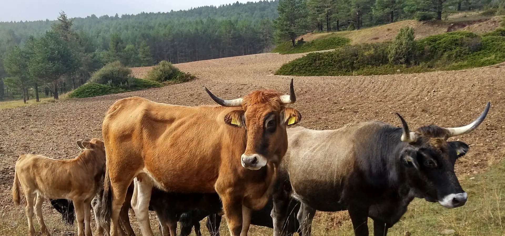 1744807394424 IMG 20231020 115855