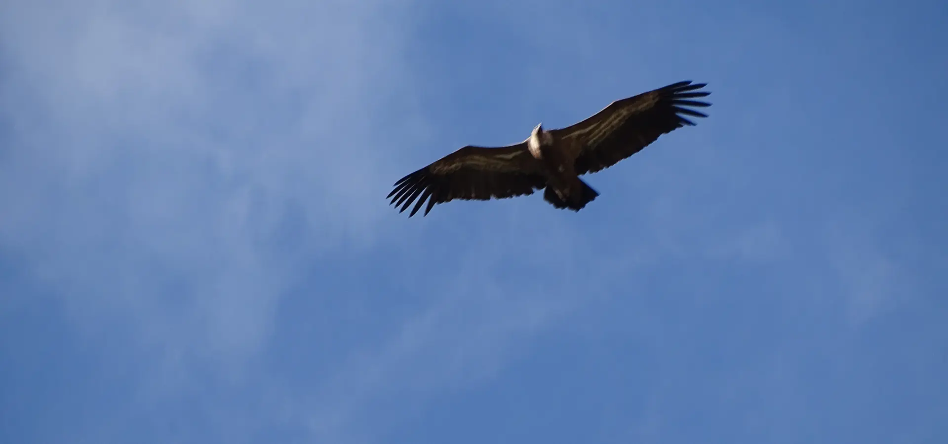 1744807015640 DSC05739