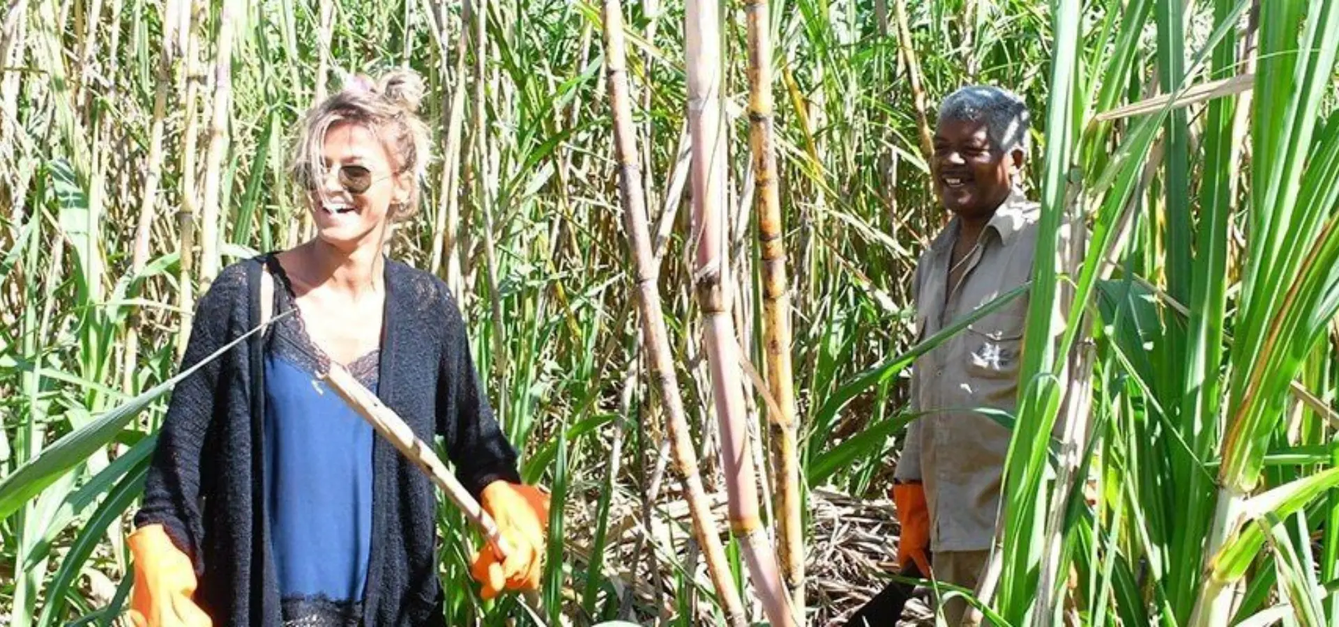 Cane cutting experience ads